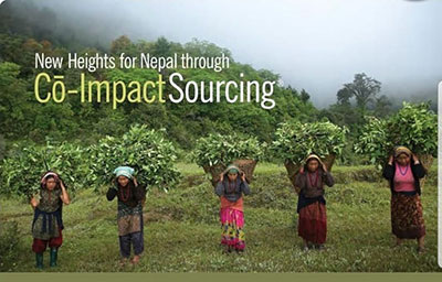 co-impact-sourcing Cō-Impact Sourcing